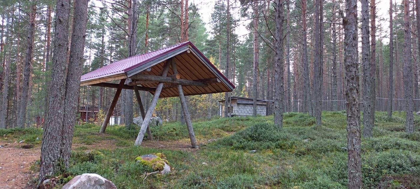 Деревянный навес с красной кровлей в сосновом лесу