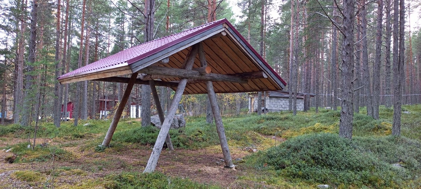 Бревенчатые стойки и кровля деревянного навеса